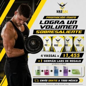 4 Sustancias Vassal