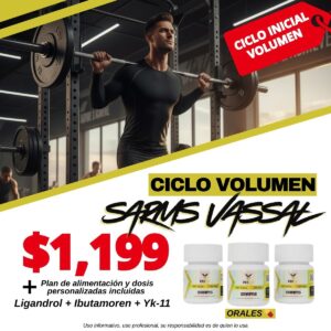 CICLO VOLUMEN N1 (S4RMS)