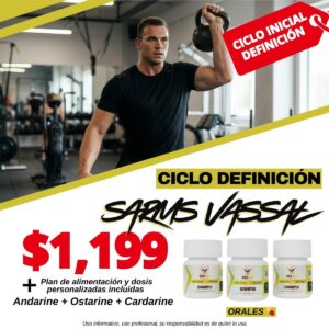 CICLO DEFINICIÓN N1 (S4RMS)