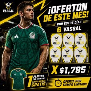 6 Vassal x $1,795