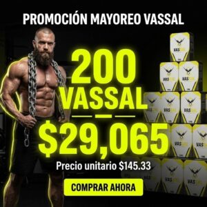 200 Vassal x $29,065
